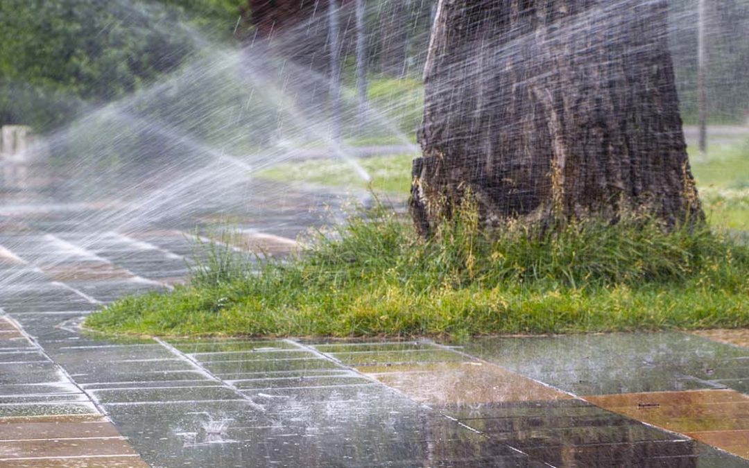 Sprinkler system