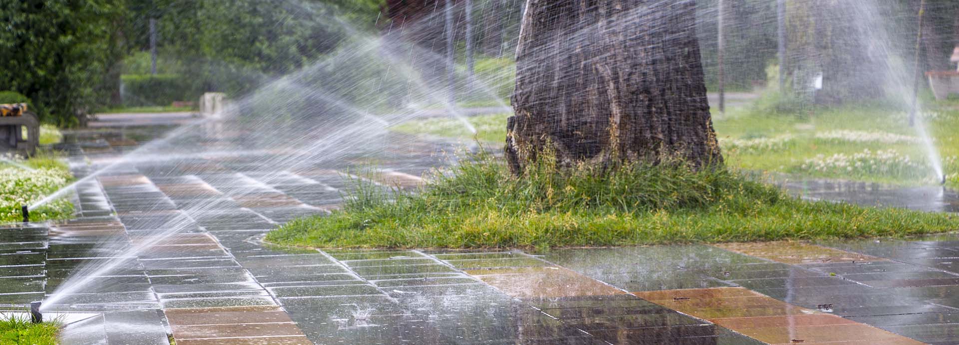 Watering Times Young Bucks Irrigation