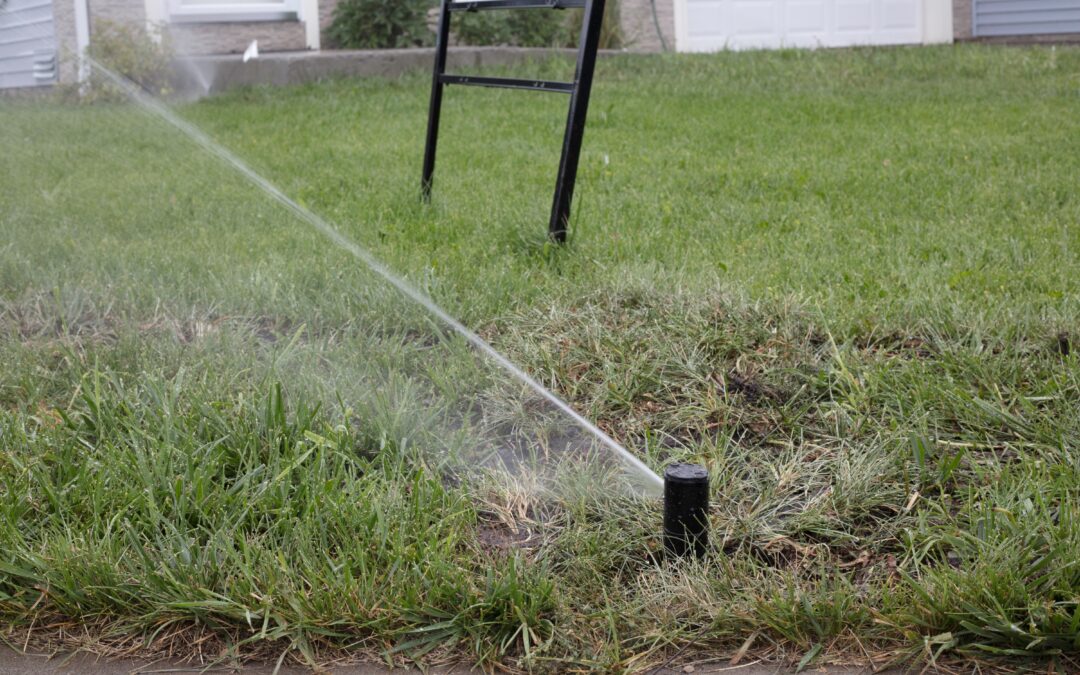 Watering Times