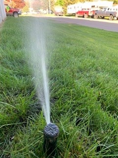 sprinkler-head-close-up