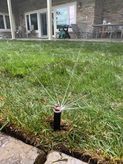 wide-spray-sprinkler-head